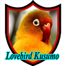 Lovebird Kusumo + APK