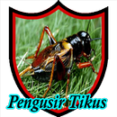 Suara Jangkrik Pengusir Tikus APK