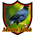 Master Kicau Jalak Campursari ikon