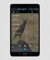 Master Kicau Jalak Campursari स्क्रीनशॉट 1