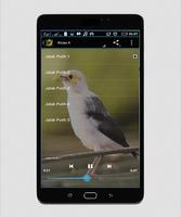 Master Kicau Jalak Campursari स्क्रीनशॉट 2