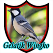 Suara Burung Gelatik Wingko