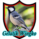 Suara Burung Gelatik Wingko APK