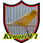 Master Kicau Kenari F1 आइकन