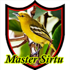 Master Kicau Sirtu Teler icône