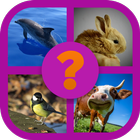 Animals Lover icône
