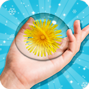 DIY Raindrop Cake Maker! Jiggly Flower Jelly Chef APK