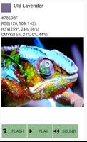 Color Detector screenshot 1