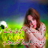 Icona urdu romantic poetry
