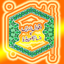 aqwal e zareen encycopedia APK