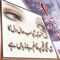 bachar gaya dard phari shayri