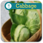 Cabbage recipes आइकन