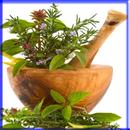 Ayurvedic Medicine Ayurved APK