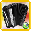 Real Accordion