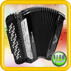 Real Accordion ícone