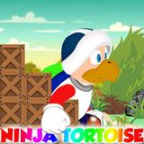 Ninja Adventure Tortoise 2 图标