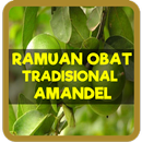 Ramuan Obat Tradisional Amandel Paling Ampuh APK