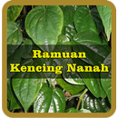 Ramuan Alami Untuk Kencing Nanah Terampuh APK