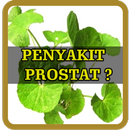 Ramuan Alami Untuk Penyakit Prostat Paling Ampuh APK