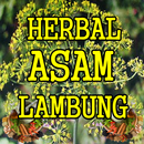Ramuan Asam Lambung Alami Paling Ampuh APK