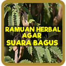 Ramuan Herbal Agar Suara Bagus APK