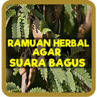 Ramuan Herbal Agar Suara Bagus icône