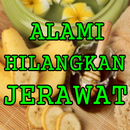 Masker Tradisional untuk Menghilangkan Jerawat APK