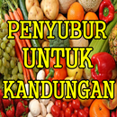 Resep Jamu Penyubur Rahim  Agar Cepat Hamil APK