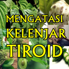 Penyembuhan Alami Kelenjar Tiroid Secara Herbal أيقونة