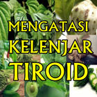 Penyembuhan Alami Kelenjar Tiroid Secara Herbal icône