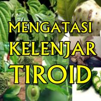 Penyembuhan Alami Kelenjar Tiroid Secara Herbal تصوير الشاشة 1