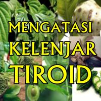 Penyembuhan Alami Kelenjar Tiroid Secara Herbal capture d'écran 1