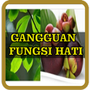 Ramuan Herbal Untuk Gangguan Fungsi Hati Terampuh APK