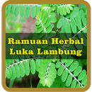 Ramuan Herbal Untuk Mengobati Luka Lambung Ampuh APK