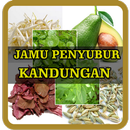 Ramuan Jamu Penyubur Kandungan Terbukti Ampuh APK