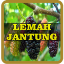 Ramuan Tradisional Untuk Lemah Jantung APK