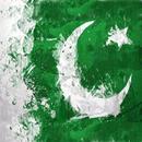 Pakistani Flag Face 2018 aplikacja