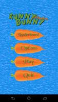 Runny Bunny Adventure poster