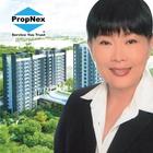 Perlin Property Sg icon