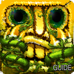 Guide for Temple Run 2