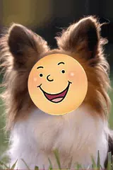 Скачать FaceChanger APK