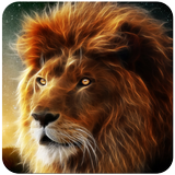 Lion Wallpaper icône