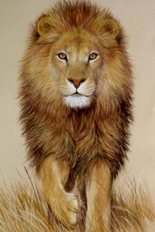 Lion Wallpaper APK for Android – Download Lion Wallpaper APK Latest Version from Lion Wallpaper APK for Android – Download Lion Wallpaper APK Latest Version from