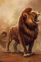 Lion Wallpaper screenshot 2