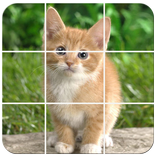 Pets Photo Puzzle
