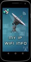 IP and WIFI Info Affiche