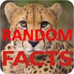 Random Facts