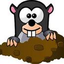 Mole Hunt APK