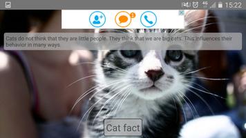 Random cat facts capture d'écran 1