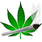 Plants & Flowers Weed Version icono